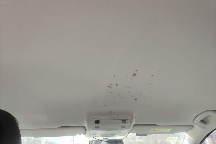 Used Volkswagen Golf Sportsvan 2018 1.6L Automatic Comfort Model