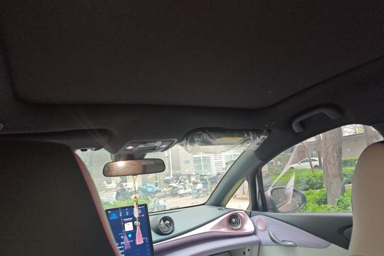 Used BYD Dolphin 2023 420 km Free Version Headliner