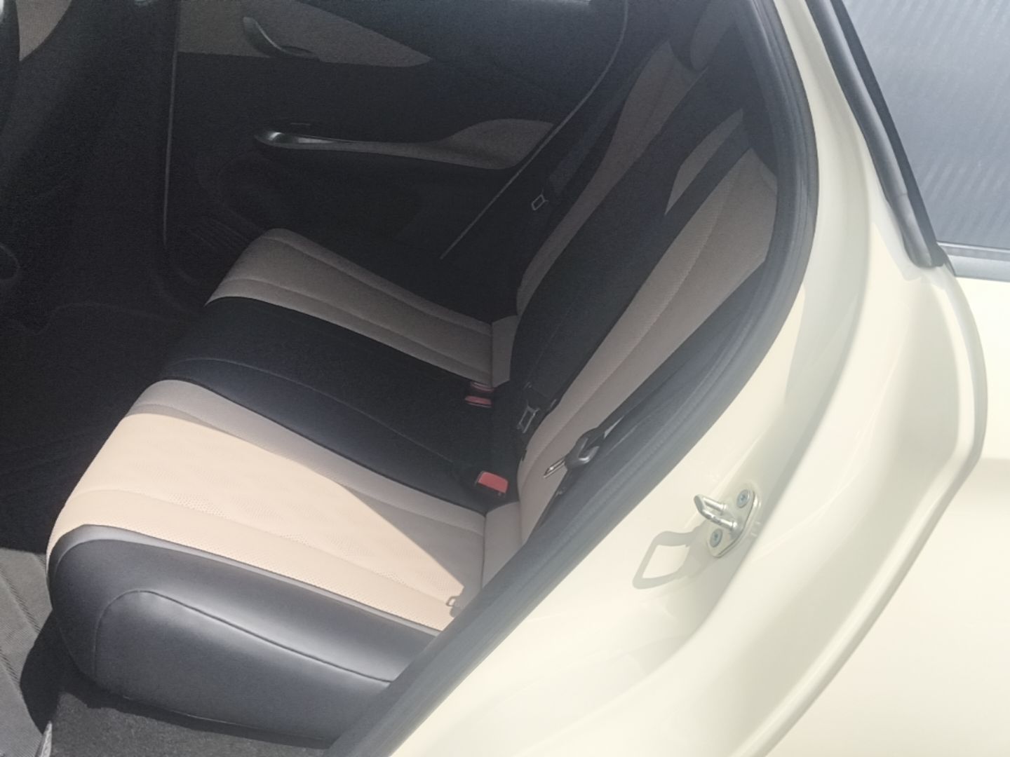 BYD Dolphin 2024 Honor Edition 420km Freedom Version — снимка 20