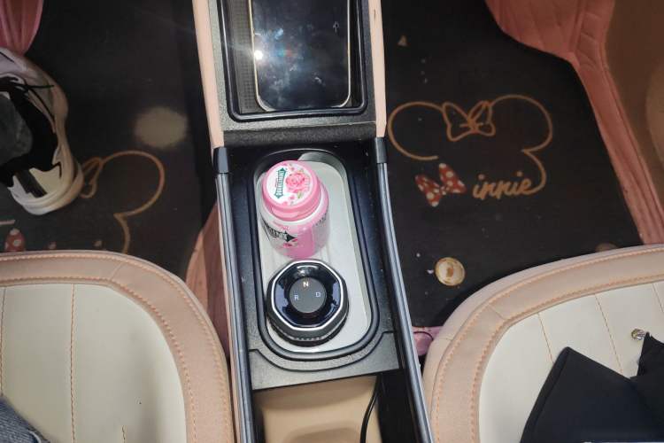 Used Geely Galaxy Panda 2024 Panda Mini 200km Endurance Bear