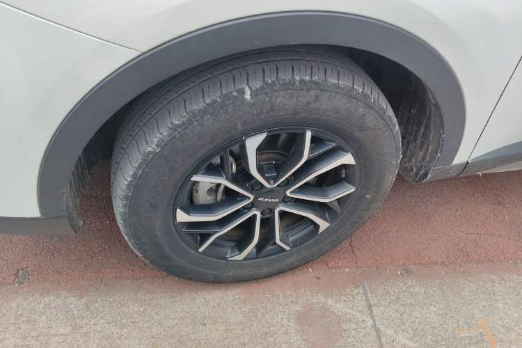 Used Haval H6 2021 National Trend Edition 1.5T Automatic Urban Version
