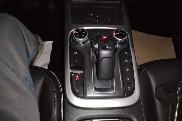 Used Tank 300 2024 2.0T Conqueror