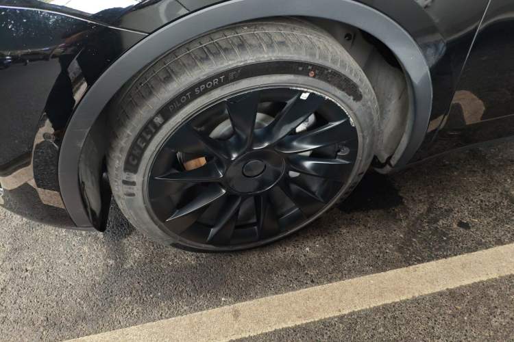 Used Tesla Model Y 2021 Standard Range Rear-Wheel Drive Version
