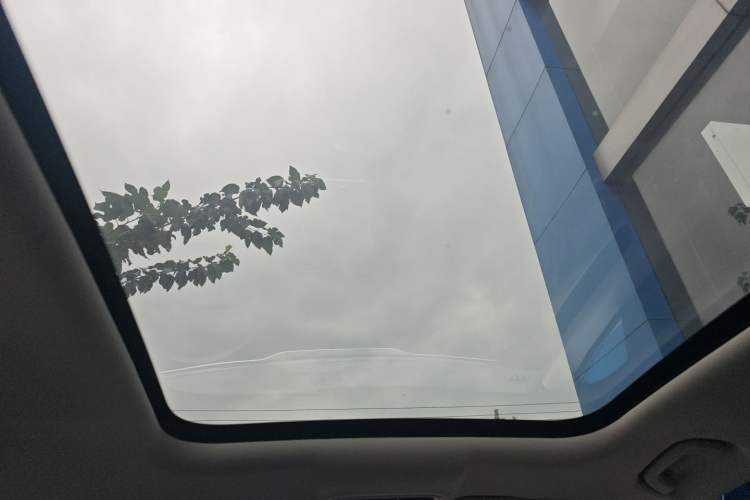 Used Leapmotor C11 2023 Pure Electric 500 Comfort Edition
