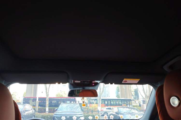 Used Li Auto L6 2024 Pro Model