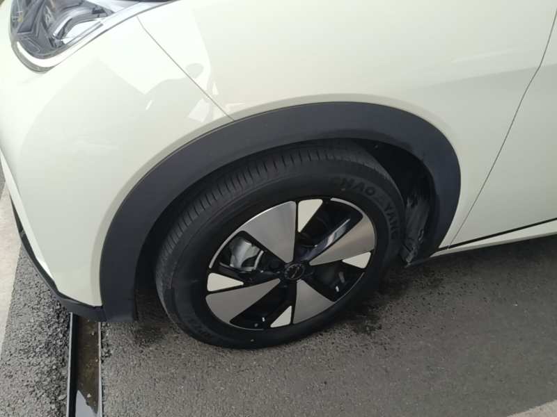 Used BYD Dolphin 2023 420 km Fashion Edition — 22