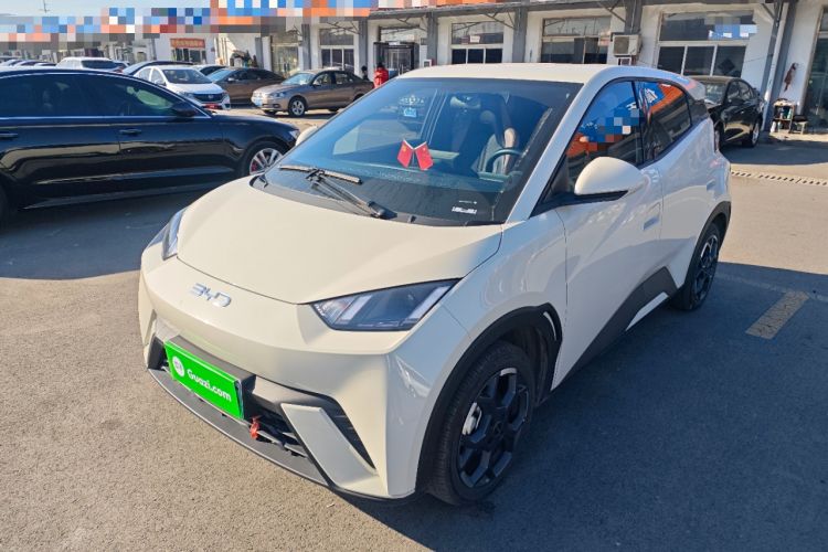 Used BYD Seagull 2024 Honor Edition 305km Freedom Version
