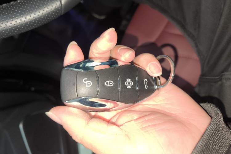 Used Hongqi HS5 2025 2.0T Two-Wheel-Drive Xuan Ying Edition