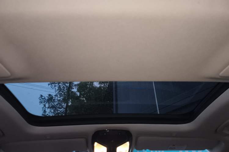 Used BMW 5 Series New Energy 2021 535Le Luxury Package Headliner