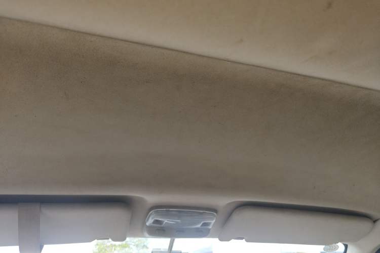 Used Foton MP-X E 2014 2.0L Wealth Express Classic Edition 4G63 Headliner