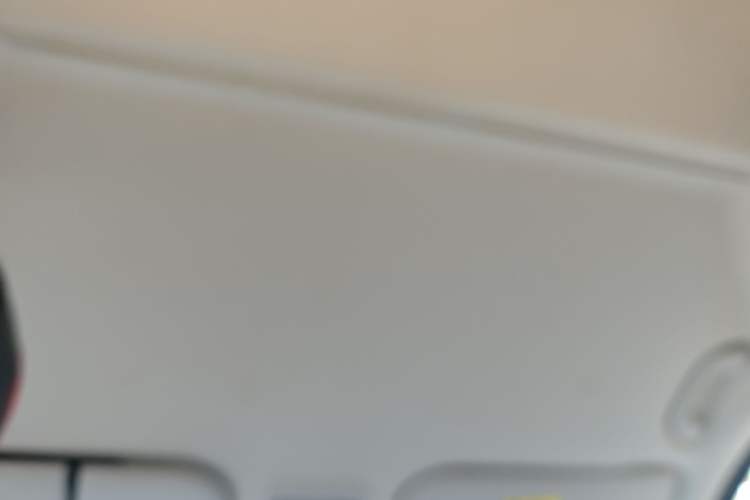 Used FORTHING Lingzhi PLUS 2023 2.0L Manual Comfort Version CNG 7-Seater