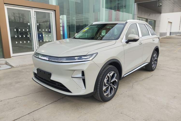 Used Haval Fierce Dragon Max 2025 Hi4 110 Pro