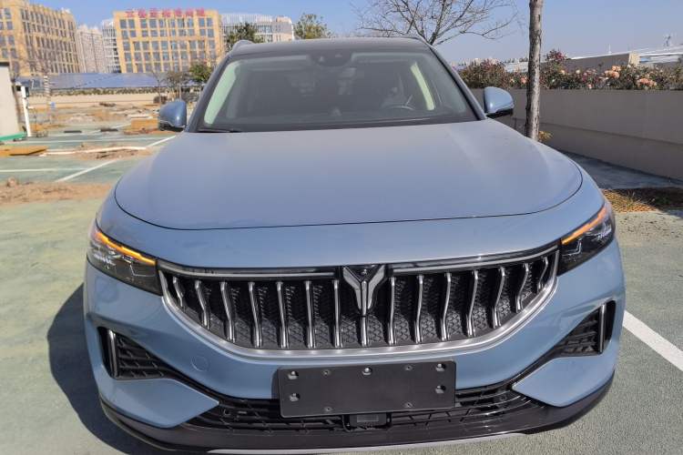 Used VOYAH FREE 2021 Four-Wheel Drive All-Electric First Edition Commemorative Edition Exclusive Luxury Package