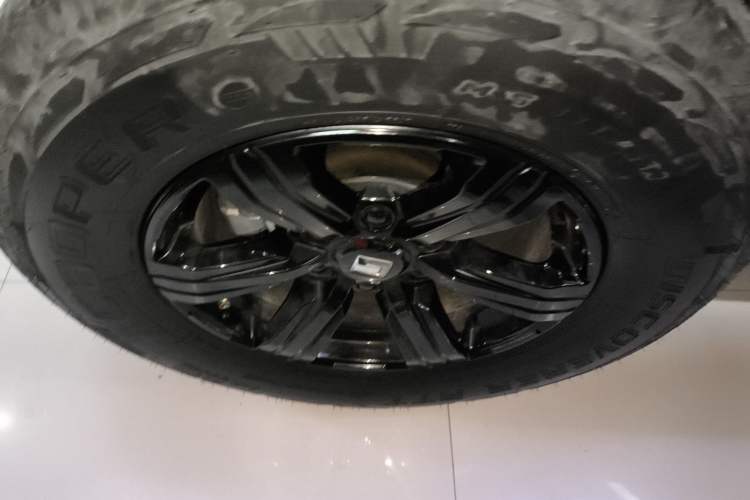 Used Tank 300 2025 2.4T Diesel Version