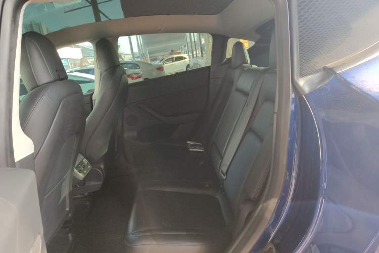 Used Tesla Model Y 2021 Standard Range Rear-Wheel Drive Version
