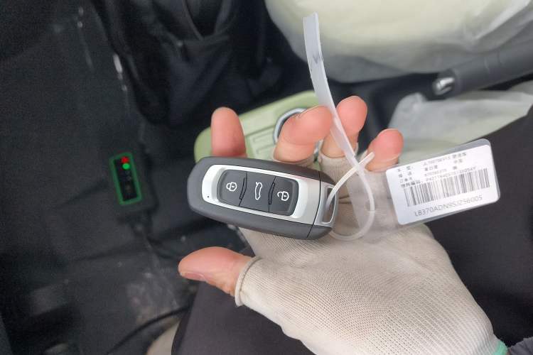 Used Geely Galaxy Panda 2024 Panda Mini 200km Endurance Bear