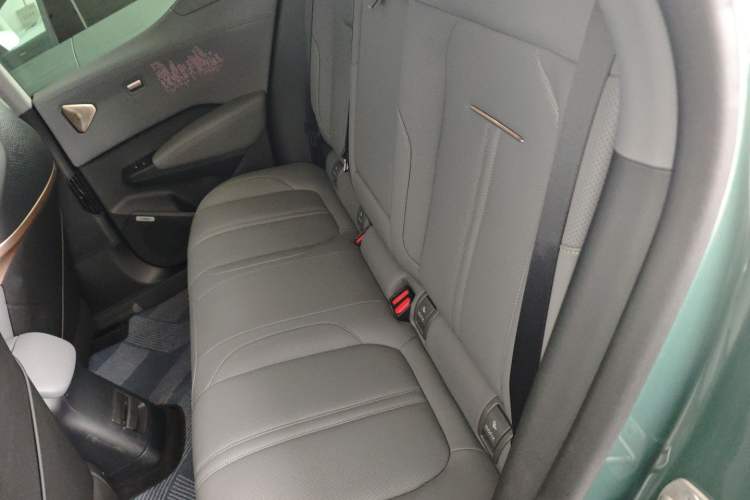 Used Zeekr X 2024 Five-Seater Four-Wheel Drive Left Rear Seat