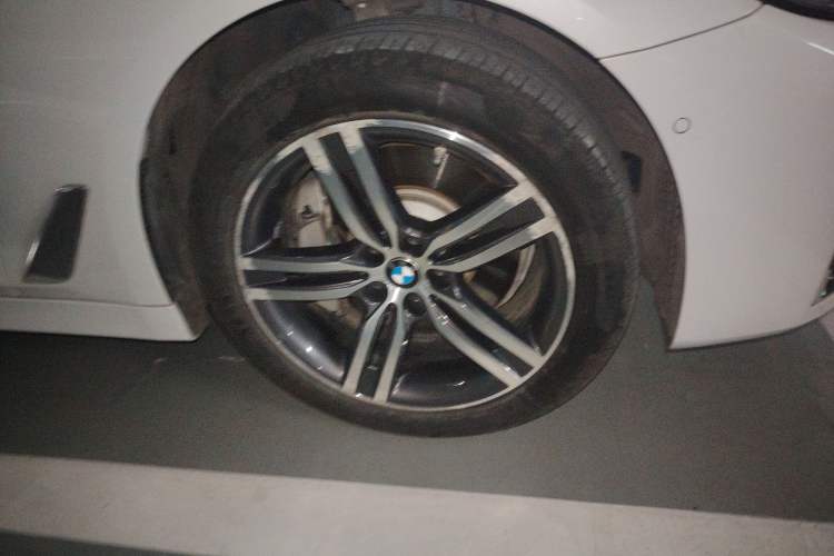 Used BMW 5 Series 2021 530Li Leading Luxury Package