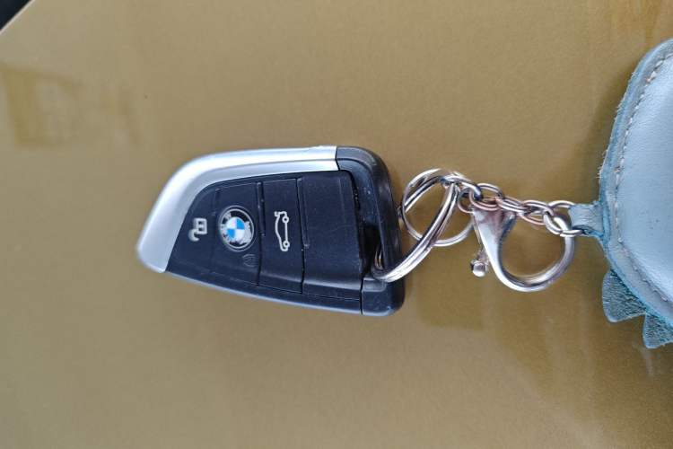 Used BMW X2 2018 sDrive25i Leading Model M Sport Package China V
