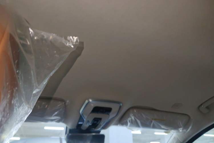 Used Hongqi HQ9 2023 2.0T Smart Connect Flagship Edition