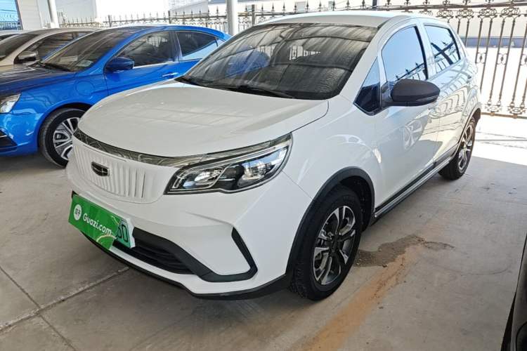 Used Geometry EX3 Kung Fu Cow 2021 Tough Bull Cow