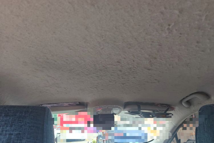 Used BYD Yuan Pro 2021 401 km Luxury Version Headliner