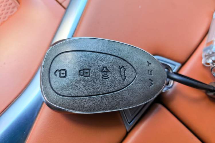 Used Wey Lanshan 2023 Four-Wheel Drive Ultra-Long Range Version