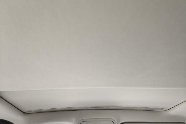 Used Bestune T33 2021 1.2T DCT Luxury Model Headliner