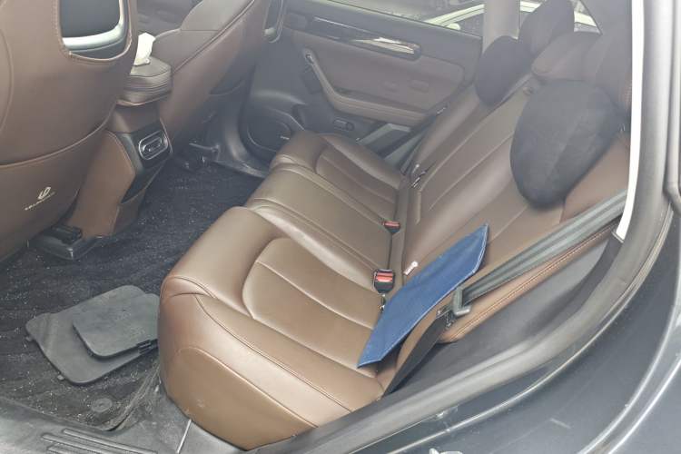 Used Leapmotor C11 2023 Pure Electric 500 Comfort Edition