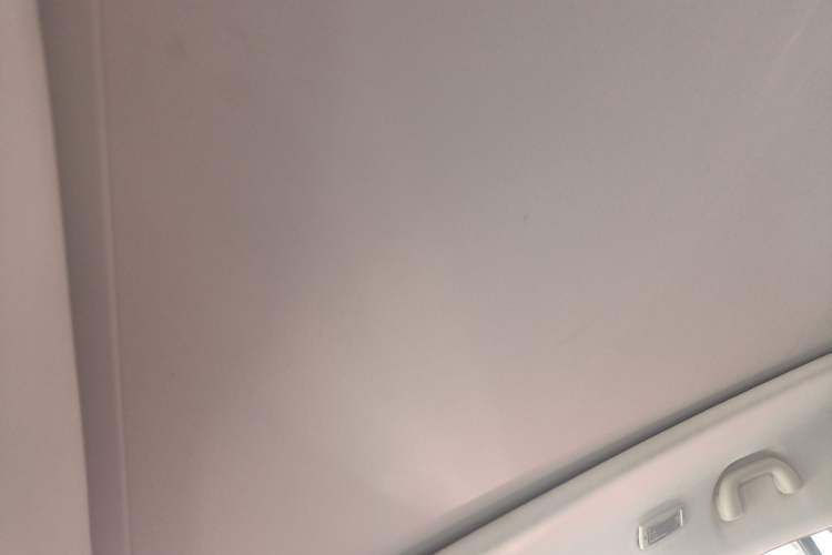 Used Ford Territory 2020 Lingjie S EcoBoost 145 CVT Zunling Edition Headliner