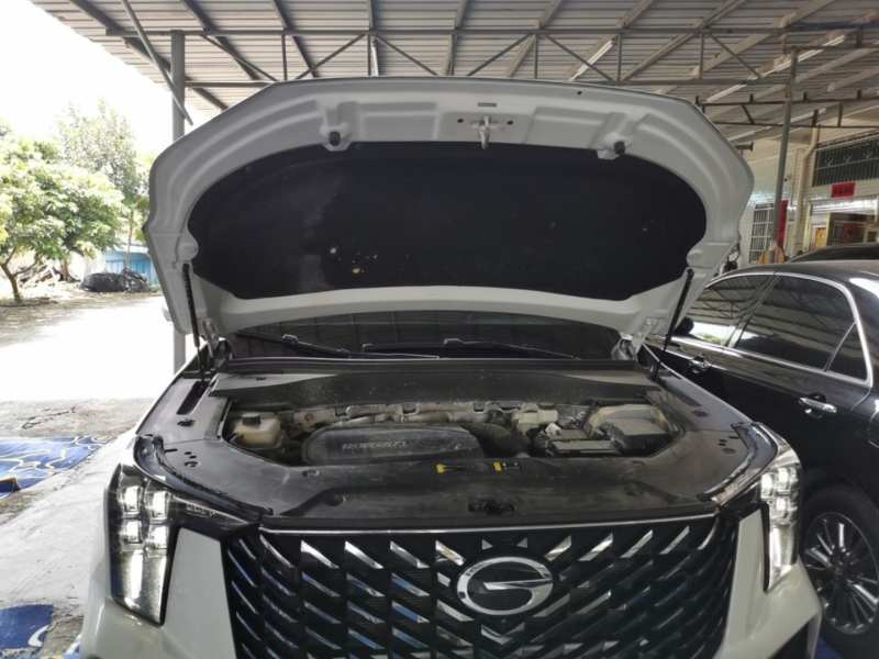 Used GAC Trumpchi GS8 2025 Linghang Series 2.0 TGDI Four-Wheel-Drive Luxury Edition 5 Seats — 19