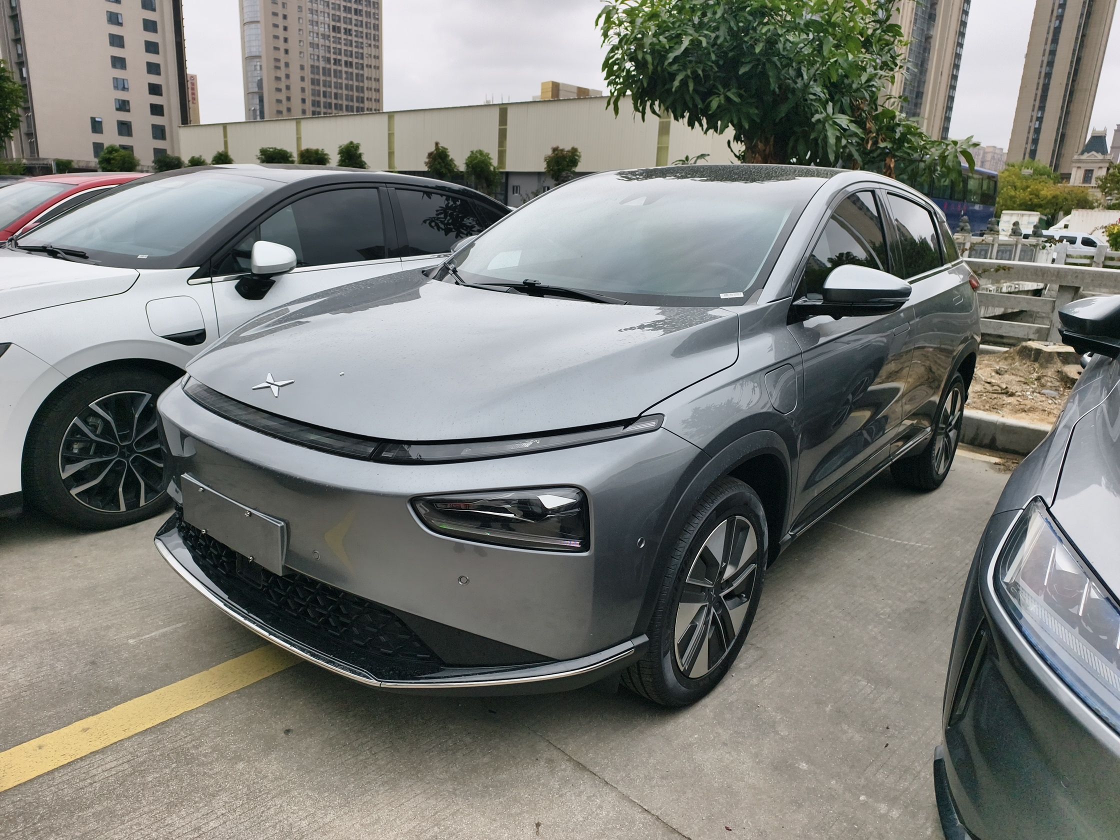 Parte inferior delantera