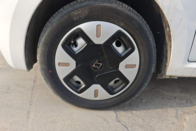 Used SOL E10X 2022 Flower Fairy Design Dandelion