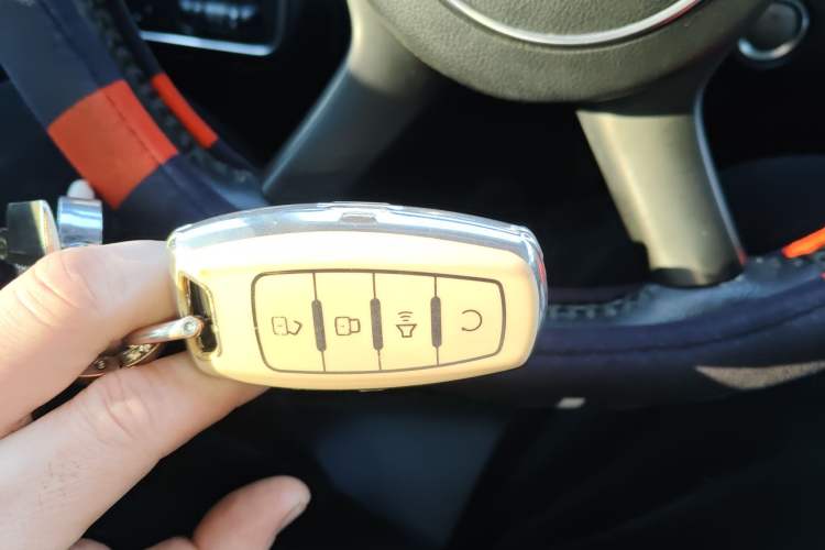 Used Great Wall Poer 2019 2.0T Automatic Gasoline 4x4 Comfort Edition GW4C20B
