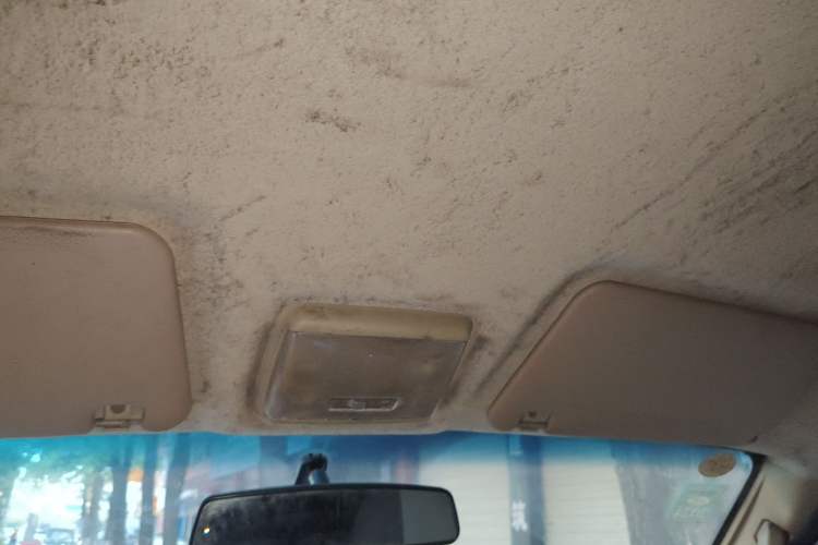 Used Ruichi EC35 2021 EC35 II Custom Edition 31.25 kWh