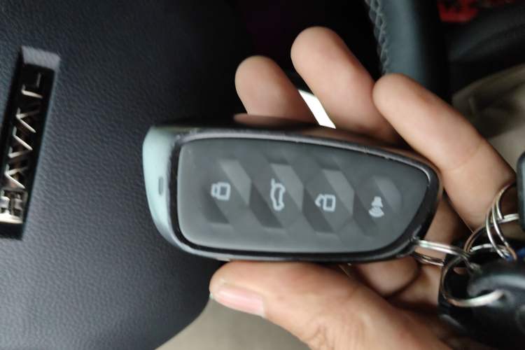 Used Haval H Dog New Energy 2023 DHT-PHEV 105km Tide Electric Version Plus