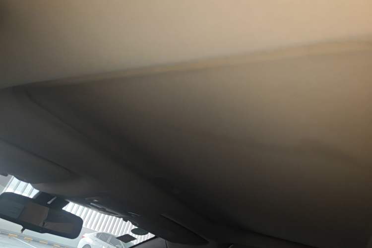 Used BYD S7 2017 2.0T Automatic Luxury Model Headliner