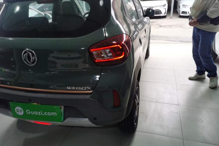 Used Dongfeng NAMMI EX1 2023 PRO Light Wind Edition Lightning Model