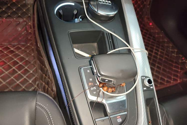 Used Audi A4L 2020 40 TFSI Fashionable and Elegant Model
