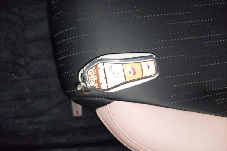 Used BYD Seagull 2025 Smart Drive Version 305 km Freedom Edition Vehicle Key