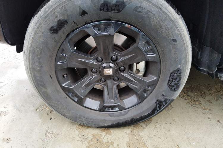 Used Tank 400 2025 2.0T Gasoline Version