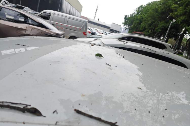 Used Volkswagen Polo 2023 Revised Plus 1.5L Automatic – Enjoy Life Edition Roof