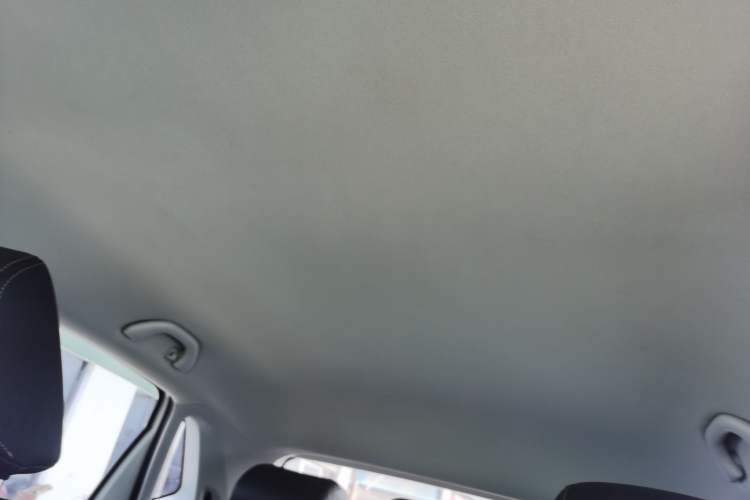 Used Volkswagen Polo 2018 1.5L Automatic Advanced Driving Model Headliner