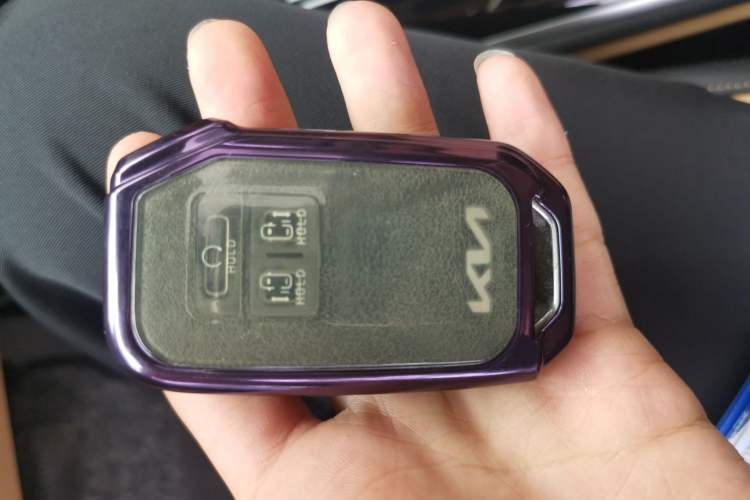 Used Kia Carnival 2021 2.0T Flagship Edition