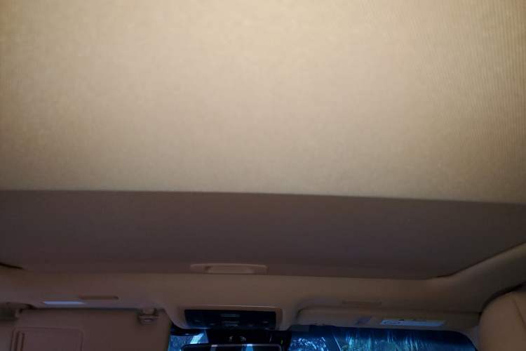 Used Lexus ES 2021 260 Excellence Edition Headliner