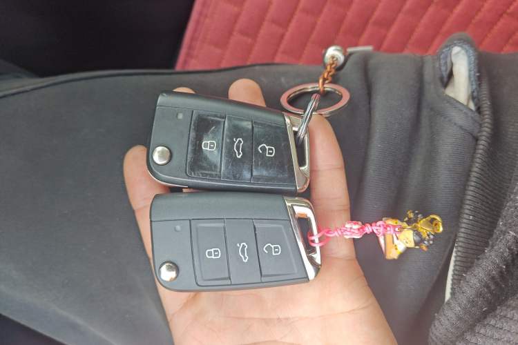 Used Volkswagen Tiguan L New Energy 2020 430 PHEV Plug-in Hybrid Flagship Edition
