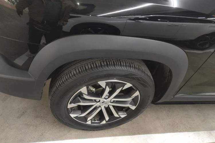 Used Haval DARGO 2022 1.5T DCT Two-Wheel Drive Labrador Edition