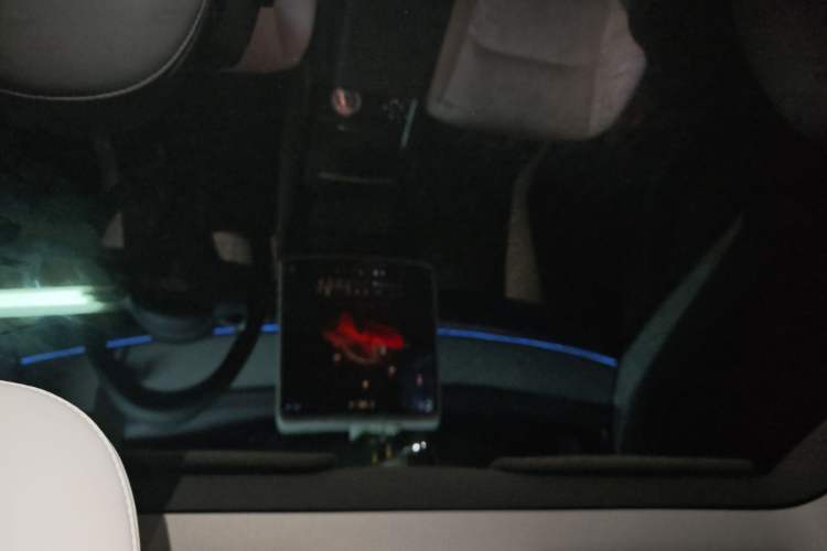 Used Tesla Model Y 2023 Long-Range All-Wheel-Drive Version Headliner