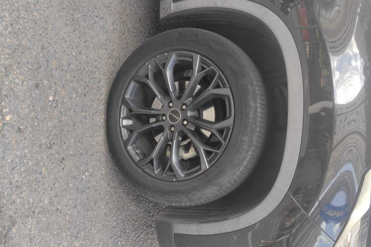 Used EXEED TX 2020 1.6T Two-Wheel Drive Star Edition
