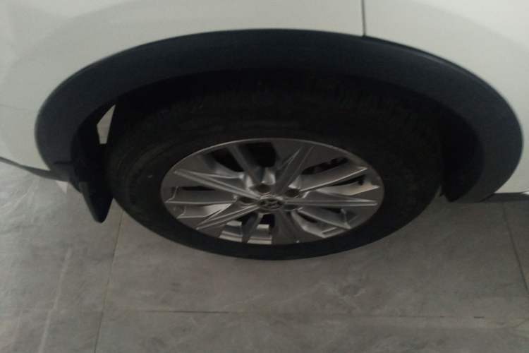 Used Venucia Star 2020 260T Automatic 48V Mild Hybrid Turbocharged Star Edition
